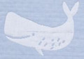 Blue Whale